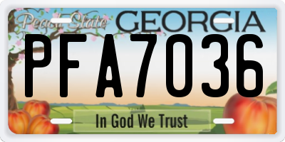 GA license plate PFA7036