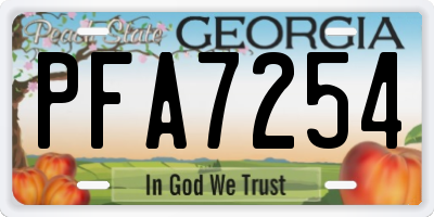 GA license plate PFA7254
