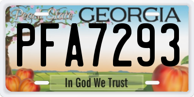 GA license plate PFA7293