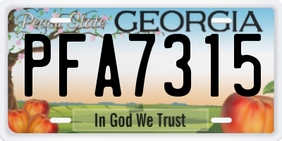 GA license plate PFA7315