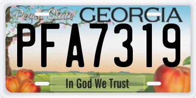 GA license plate PFA7319