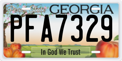 GA license plate PFA7329