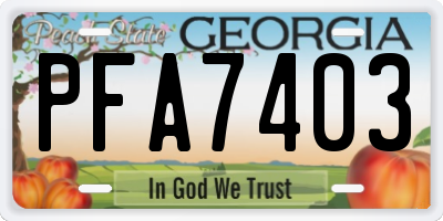 GA license plate PFA7403