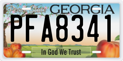 GA license plate PFA8341