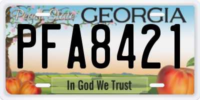 GA license plate PFA8421