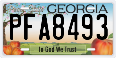 GA license plate PFA8493