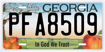 GA license plate PFA8509