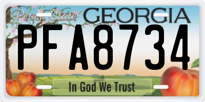 GA license plate PFA8734