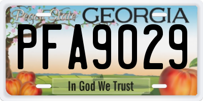 GA license plate PFA9029