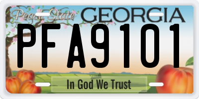 GA license plate PFA9101