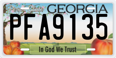 GA license plate PFA9135