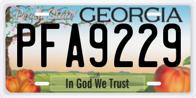 GA license plate PFA9229