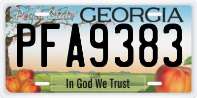 GA license plate PFA9383