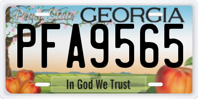 GA license plate PFA9565