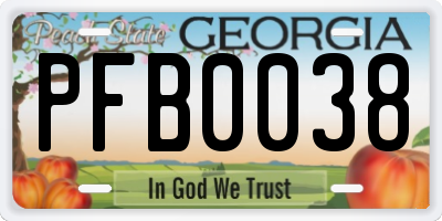 GA license plate PFB0038
