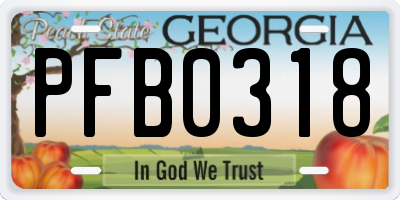 GA license plate PFB0318
