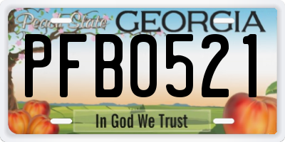 GA license plate PFB0521
