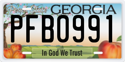 GA license plate PFB0991