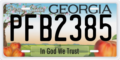 GA license plate PFB2385