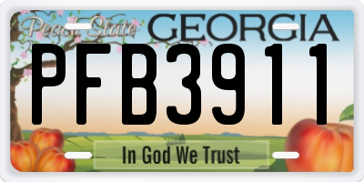 GA license plate PFB3911