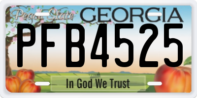 GA license plate PFB4525