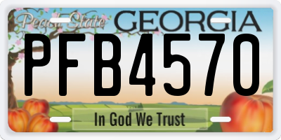 GA license plate PFB4570