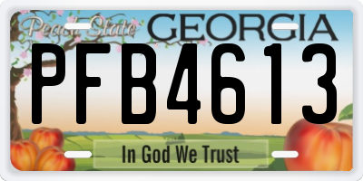 GA license plate PFB4613