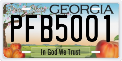 GA license plate PFB5001