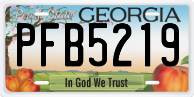 GA license plate PFB5219