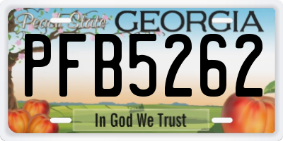 GA license plate PFB5262