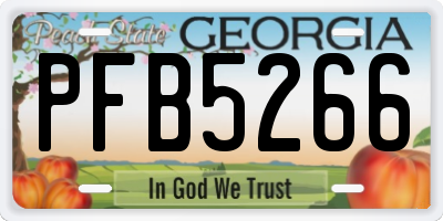 GA license plate PFB5266
