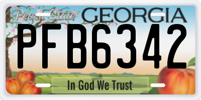 GA license plate PFB6342