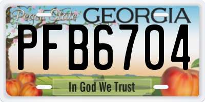 GA license plate PFB6704