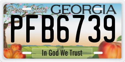 GA license plate PFB6739