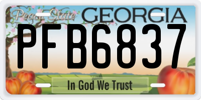 GA license plate PFB6837