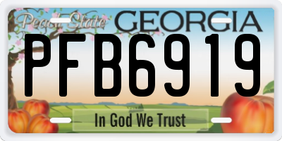 GA license plate PFB6919