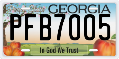 GA license plate PFB7005