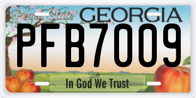 GA license plate PFB7009