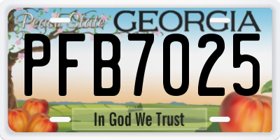 GA license plate PFB7025