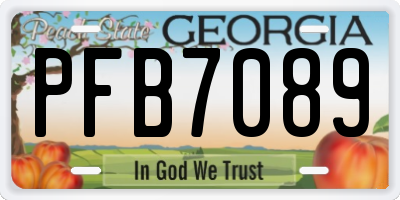 GA license plate PFB7089