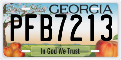 GA license plate PFB7213