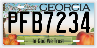 GA license plate PFB7234
