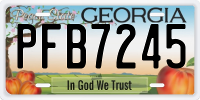 GA license plate PFB7245