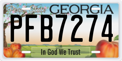 GA license plate PFB7274