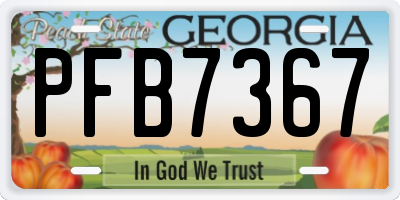 GA license plate PFB7367