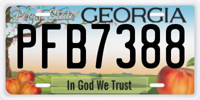 GA license plate PFB7388