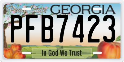 GA license plate PFB7423