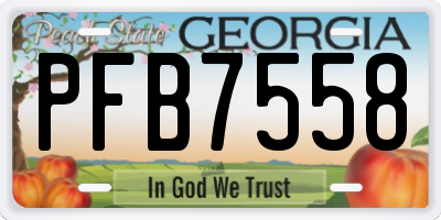 GA license plate PFB7558