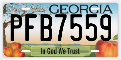GA license plate PFB7559