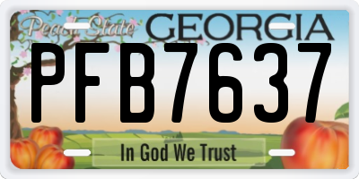 GA license plate PFB7637
